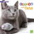Caring for Cats (A 4D Book) - 9781543527452 by Tammy Gagne, 9781543527452