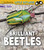 Brilliant Beetles (A 4D Book) - 9781977105691 by Melissa Higgins, 9781977105691