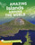 Amazing Islands Around the World by Pat Tanumihardja, 9781543557770