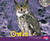 Owls - 9781429671194 by Mary R. Dunn, 9781429671194