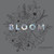 Bloom (A Flower Coloring Book for Adults) by Alli Koch, Paige Tate & Co., 9781944515898