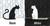 Up Cat Down Cat by Steve Light, Steve Light, 9781536210316