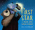 First Star (A Bear and Mole Story) - 9780823446711 by Will Hillenbrand, 9780823446711