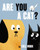 Are You a Cat? by Coll Muir, Coll Muir, 9780062865946