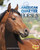 American Quarter Horses - 9781543500325 by Amanda Parise-Peterson, 9781543500325