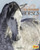 Clydesdale Horses - 9781543500424 by John Diedrich, 9781543500424 Clydesdale Horses - 9781543500424 by John Diedrich, 9781543500424