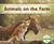 Animals on the Farm - 9781496610003 by Teddy Borth, 9781496610003