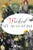 Wicked St. Augustine by Ann Colby, 9781467145374