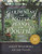 Gardening with Native Plants of the South - 9781493038800 by Sally Wasowski, Andy Wasowski, 9781493038800