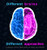 Different Brains, Different Approaches (Successful Neuro Advertising for Male and Female) by Huub van Osch, 9789063694357