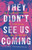They Didn't See Us Coming (The Hidden History of Feminism in the Nineties) by Lisa Levenstein, 9780465095285