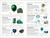 Gemstones by Cally Hall, 9780744020557