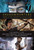 Shadowhunters Short Story Paperback Collection (Boxed Set) (The Bane Chronicles; Tales from the Shadowhunter Academy; Ghosts of the Shadow Market) by Cassandra Clare, Sarah Rees Brennan, Maureen Johnson, Kelly Link, Robin Wasserman, 9781534464032 Shadowhunters Short Story Paperback Collection (Boxed Set) (The Bane Chronicles; Tales from the Shadowhunter Academy; Ghosts of the Shadow Market) by Cassandra Clare, Sarah Rees Brennan, Maureen Johnson, Kelly Link, Robin Wasserman, 9781534464032