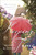 Keeping Time (A Novel) by Stacey McGlynn, 9780307464415