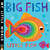 Big Fish Little Fish (My Little World) by Jonathan Litton, Fhiona Galloway, 9781589252158
