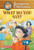 What Do You Say? by Jennifer B. Gillis, 9780764132988