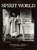 Spirit World (Pattern in the Expressive Folk Culture of New Orleans) by Michael P Smith, 9780882898957