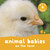 Animal Babies On the Farm - 9780753476574 by Editors of Kingfisher, 9780753476574