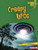 Creepy UFOs by Walt Brody, 9781541596894