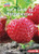 Let's Look at Strawberries by Katie Peters, 9781728403151