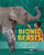 Bionic Beasts (Saving Animal Lives with Artificial Flippers, Legs, and Beaks) by Jolene Gutiérrez, 9781541589407