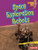 Space Exploration Robots - 9781541596962 by Jackie Golusky, 9781541596962