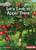 Let's Look at Apple Trees by Katie Peters, 9781728403113
