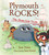 Plymouth Rocks! (The Stone-Cold Truth) by Jane Yolen, Sam Streed, 9781580896856
