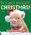 Pocket Piggies: Christmas! by Richard Austin, 9781523511150