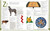 Merriam-Webster Children's Dictionary, New Edition (Features 3,000 Photographs and Illustrations) by DK, 9781465488824