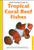 Handy Pocket Guide to Tropical Coral Reef Fishes by Gerald Allen, 9780794601867 Handy Pocket Guide to Tropical Coral Reef Fishes by Gerald Allen, 9780794601867
