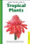 Handy Pocket Guide to Tropical Plants by Elisabeth Chan, Luca Invernizzi Tettoni, 9780794601928