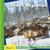 Caribou Migration - 9781534168558 by Susan H. Gray, 9781534168558