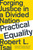 Practical Equality (Forging Justice in a Divided Nation) - 9780393358551 by Robert L. Tsai