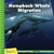 Humpback Whale Migration by Susan H. Gray, 9781534170278