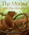 The Mouse and the Meadow by Chad Wallace, 9781584694816