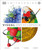 Visual Encyclopedia by DK, 9781465499943