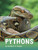 Pythons by Martha E. H. Rustad, 9781977123190