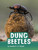 Dung Beetles by Martha E. H. Rustad, 9781977123152