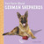 Fast Facts About German Shepherds by Marcie Aboff, 9781977124517