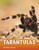 Tarántulas (Spanish Edition) by Jaclyn Jaycox, Aparicio Publishing LLC, 9781977125538 Tarántulas (Spanish Edition) by Jaclyn Jaycox, Aparicio Publishing LLC, 9781977125538