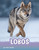 Lobos (Spanish Edition) by Mari Schuh, Aparicio Publishing LLC, 9781977125545 Lobos (Spanish Edition) by Mari Schuh, Aparicio Publishing LLC, 9781977125545