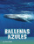 Ballenas azules (Spanish Edition) by Mari Schuh, Aparicio Publishing LLC, 9781977125484