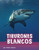 Tiburones blancos (Great White Sharks) (Spanish Edition) by Jaclyn Jaycox, Aparicio Publishing LLC, 9781977125507