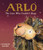 Arlo the Lion Who Couldn't Sleep by Catherine Rayner, 9781682632222