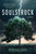 Soulstruck (A Novel) by Natasha Sinel, 9781510757776