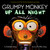 Grumpy Monkey Up All Night by Suzanne Lang, Max Lang, 9780593119754