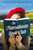 The Transatlantic Book Club (A Novel) - 9780062889508 by Felicity Hayes-McCoy