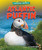 Atlantic Puffin - 9781647471576 by Jennifer Wendt, 9781647471576