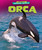Orca - 9781647471477 by Rachel Rose, 9781647471477